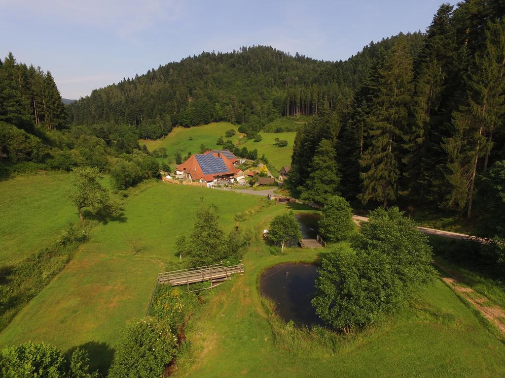 Ferienwohnung Müllerjörgenhof Gutach Exterior foto
